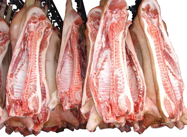 Мясо говядины,  птицы,  баранины,  свинины,  отгрузка оптом от 1 тн.